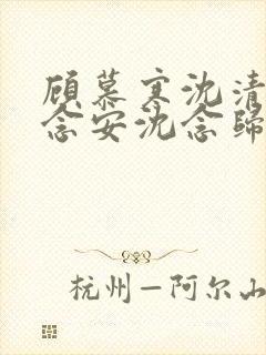 顾慕寒沈清宁沈念安沈念归