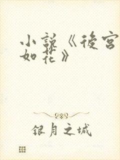 小说《后宫美人如花》