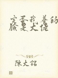 完蛋我养的小白脸是大佬