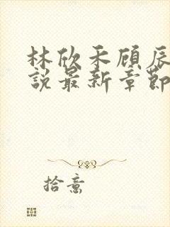 林欣禾顾辰昀小说最新章节免费阅读封面