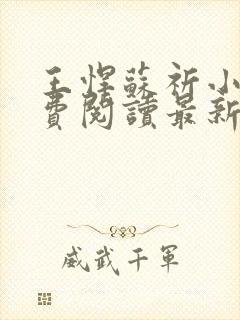 王悍苏祈小说免费阅读最新章节