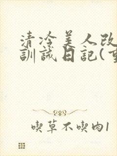 清冷美人改/造训诫日记(重封面