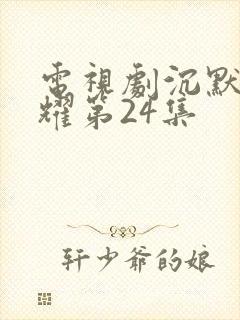 电视剧沉默的荣耀第24集