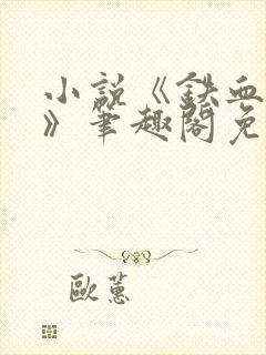 小说《铁血残明》笔趣阁免费阅读