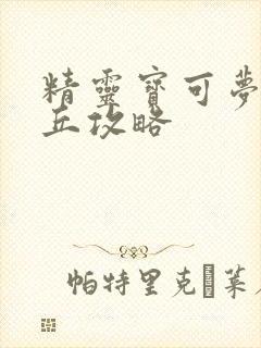 精灵宝可梦皮卡丘攻略