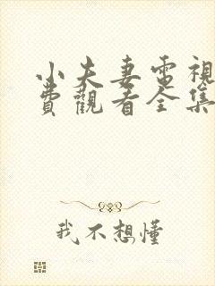 小夫妻电视剧免费观看全集完整版高清封面