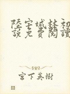 陆宇城林初韵小说免费阅读最新章节