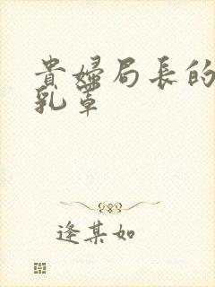 贵妇局长的蕾丝乳罩