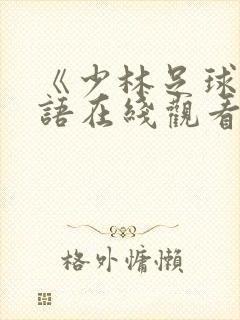 《少林足球》国语在线观看封面