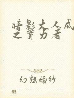 暗影大人成为影之实力者