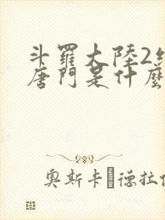 斗罗大陆2绝世唐门是什么封面