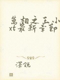 万相之王小说txt最新章节