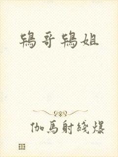 鸨哥鸨姐