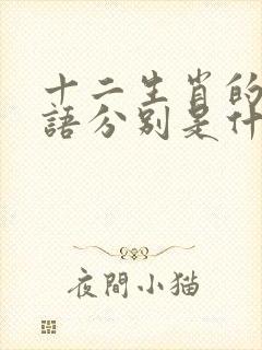 十二生肖的歇后语分别是什么