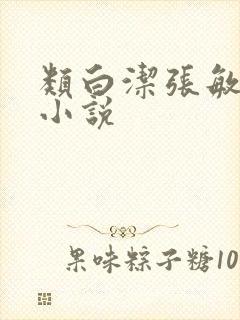 类白洁张敏孙倩小说