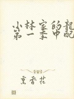 小林家的龙女仆第一季中配版