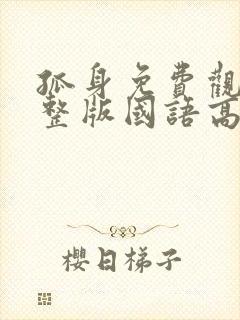 孤身免费观看完整版国语高清封面