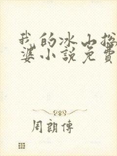 我的冰山总裁老婆小说免费封面