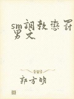 sm调教惩罚男男文封面