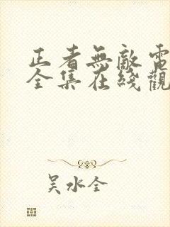 正者无敌电视剧全集在线观看