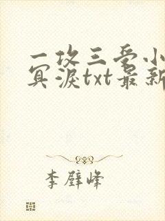 一攻三受小说魂冥泪txt最新章节