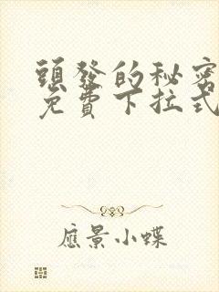 头发的秘密漫画免费下拉式阅读封面