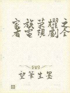 家族荣耀之继承者电视剧全集在线观看免费