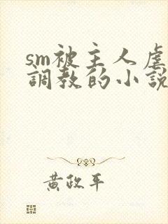 sm被主人虐玩调教的小说封面