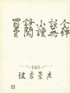 罗铮小说全文免费阅读无弹窗