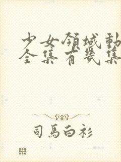 少女领域动漫版全集有几集