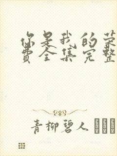 你是我的荣耀免费全集完整版