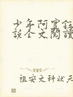 少年阿宾钰慧小说全文阅读目录封面