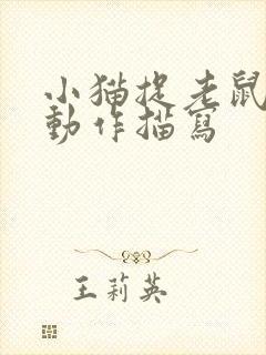 小猫捉老鼠时的动作描写