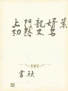 上门龙婿叶辰萧初然又名