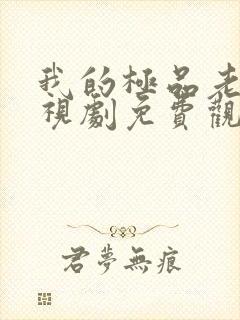 我的极品老妈电视剧免费观看完整版