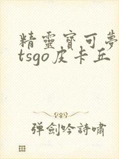 精灵宝可梦letsgo皮卡丘