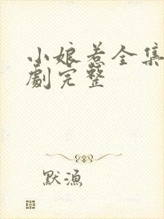 小娘惹全集电视剧完整封面