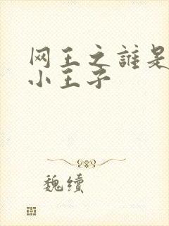 网王之谁是我的小王子