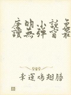 唐明小说免费阅读无弹窗最新章节下载