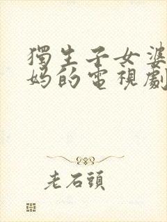 独生子女婆婆妈妈的电视剧