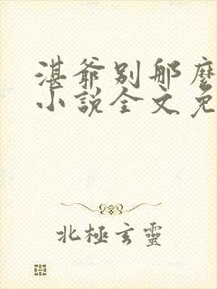 湛爷别那么暴躁小说全文免费阅读