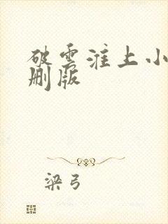 破云淮上小说未删版