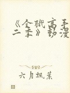 《全职高手 第二季》动漫