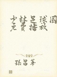 少林足球国语版免费播放