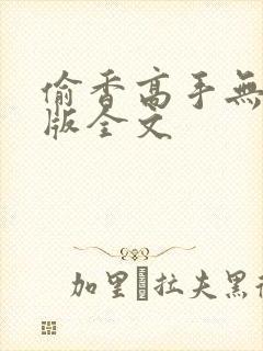 偷香高手无删减版全文