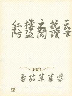 红楼之挽天倾无防盗阅读笔趣阁