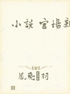小说 官场新贵