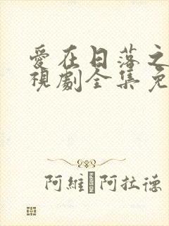 爱在日落之前电视剧全集免费观看封面