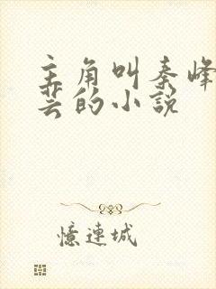 主角叫秦峰胡佳芸的小说