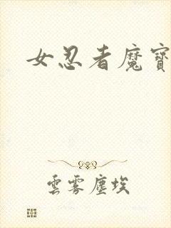 女忍者魔宝传封面